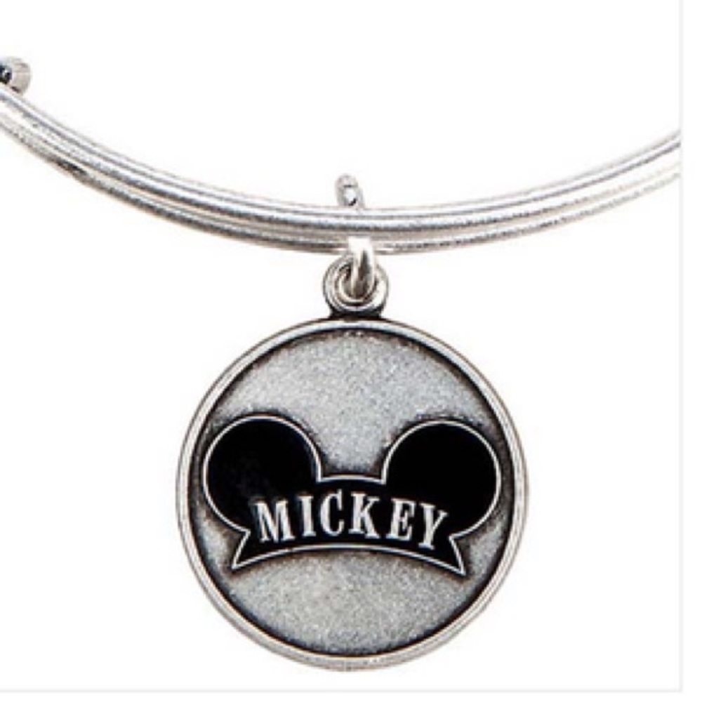 Alex and Ani, Silver